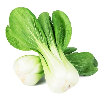  Cabbage (Pak-Choi)