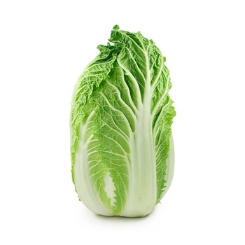  Cabbage (Pe-Tsai)