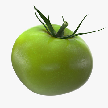  طماطم خضراء