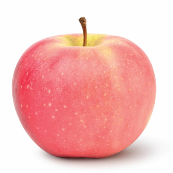  تفاح فوجي