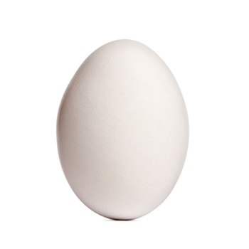  Duck egg
