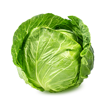  Cabbage (Green)