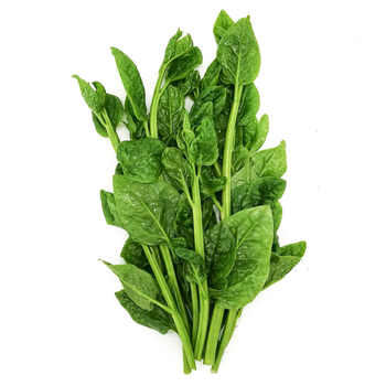 New Zealand spinach