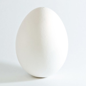  Chicken Egg