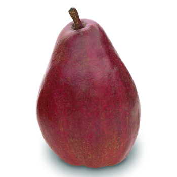  Pears (Red Anjou)