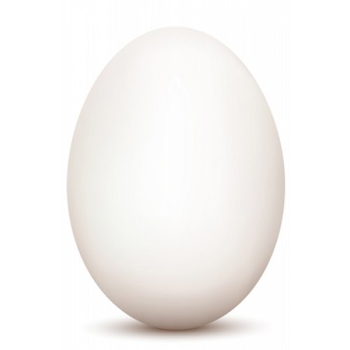  Goose egg