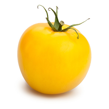  Tomatoes Yellow
