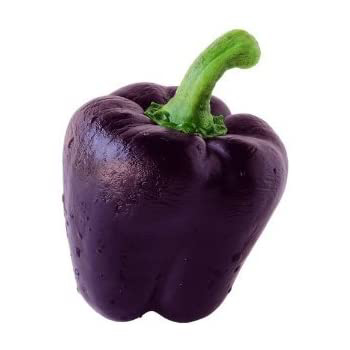 Bell Pepper (Purple)