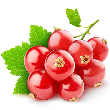  Currant (Red)