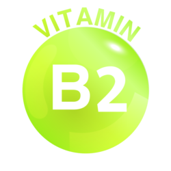  Vitamin B2 (Riboflavin)