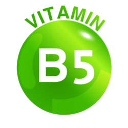 فيتامين بي5 (حمض البانتوثينيك)