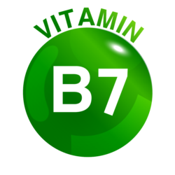 فيتامين بي 7 (بايوتاين)