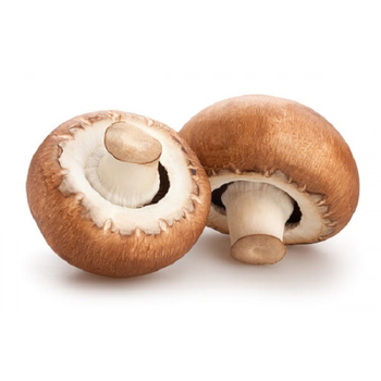  Mushrooms (Brown)