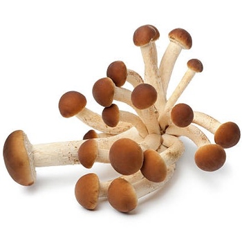 Mushrooms (Pioppini)