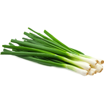  Onion (Green)