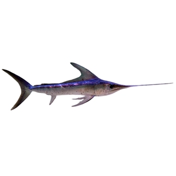  Swordfish