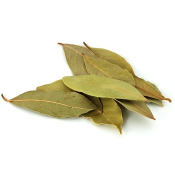 Bay Leaf